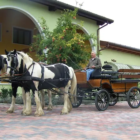 Nonna Rina San Liberale