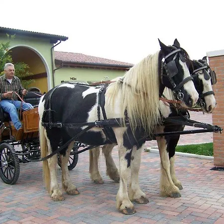 Lantgård Nonna Rina